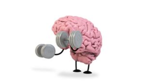 brain exercises (1)